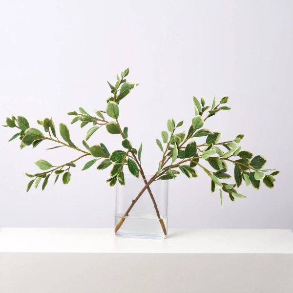 Real Touch Variegated Japanese Euonymus Branches in Modern Oval Water Illusion Arrangement