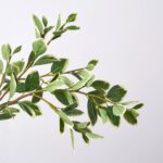 Close-up of vase silhouette detail on this Real Touch Variegated Japanese Euonymus Water Illusion Arrangement