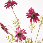 Close-up of vase silhouette detail on this Purple Wine Mixed Rudbeckia Wild Water Illusion Arrangement