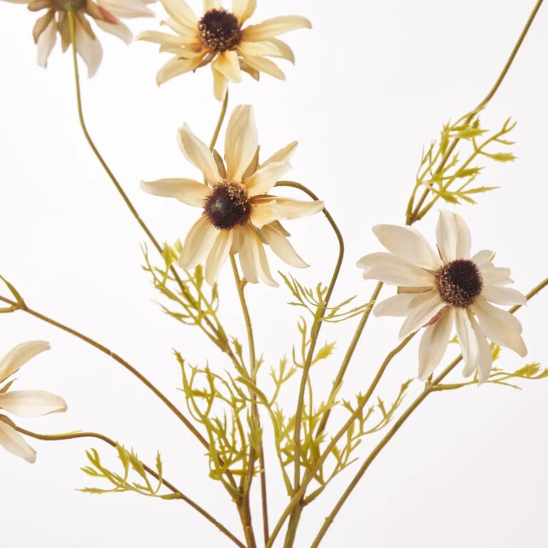 Close-up of vase silhouette detail on this Cream Mixed Rudbeckia Wild Flowers Water Illusion Arrangement