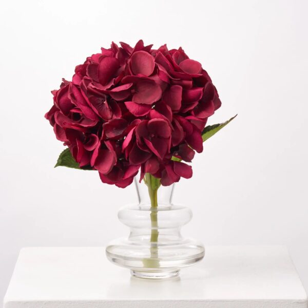 Real Touch Burgundy Beauty Hydrangea Single Bloom Everyday Water Illusion Arrangement in Layered Bud Vase
