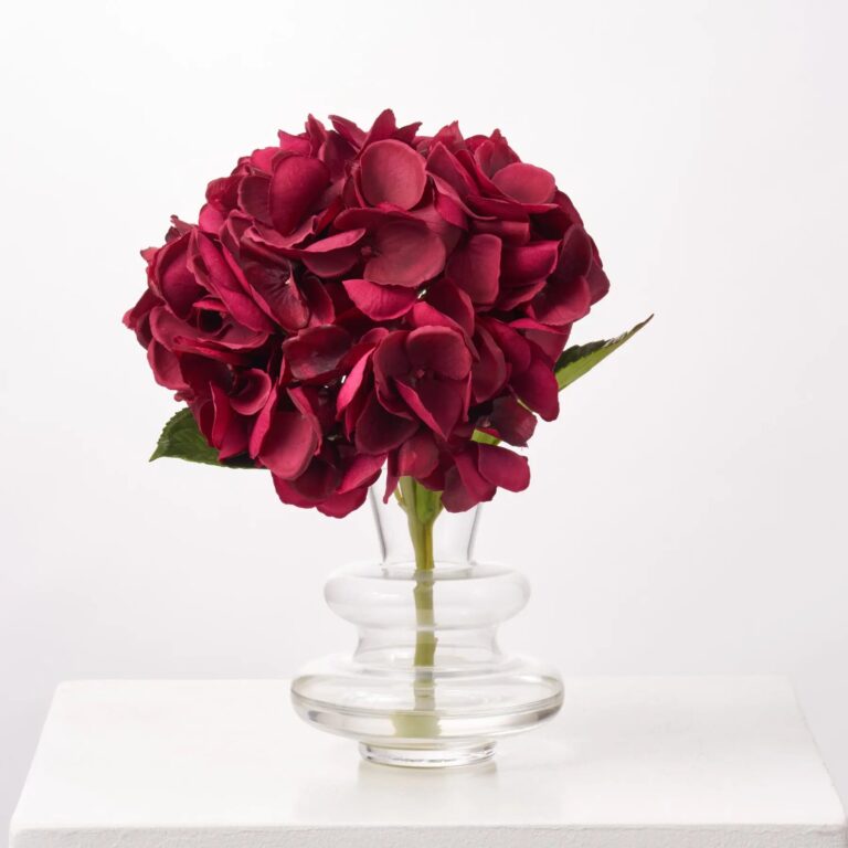 Real Touch Burgundy Beauty Hydrangea Single Bloom Everyday Water Illusion Arrangement in Layered Bud Vase