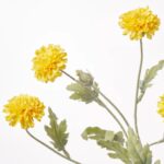 Close-up of vase silhouette detail on this Wild Yellow Mini Marigold Blooms Water Illusion Arrangement