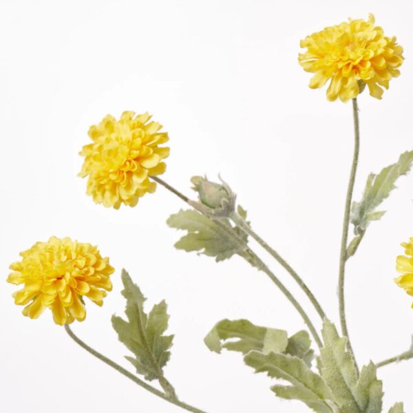 Close-up of vase silhouette detail on this Wild Yellow Mini Marigold Blooms Water Illusion Arrangement