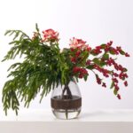 The Royal Peppermint Noel - Real Water Illusion Arrangement shown in full, highlighting vase silhouette