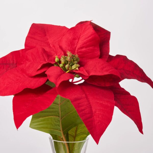 Close-up of vase silhouette detail on this Lifelike Large Red Poinsettia Bloom Water Illusion Arrangement
