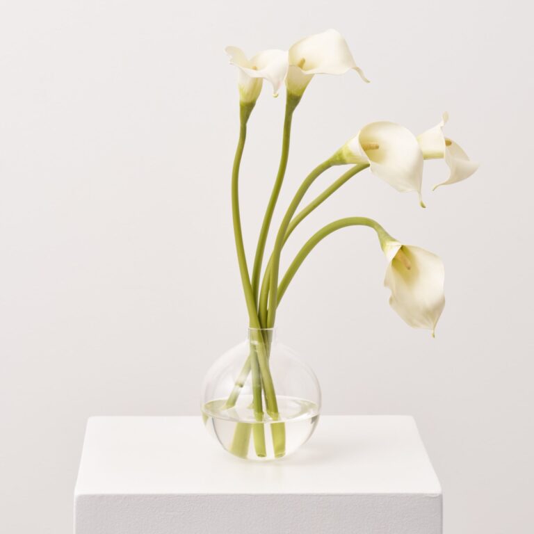 Real Touch White Calla Lily in Round Ball Vase Everyday Water Illusion Arrangement