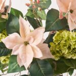 Close-up of vase silhouette detail on this Realistic Blush Pink Poinsettia Illusion Centerpiece Arrangement