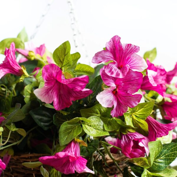 Close-up of leaf foliage texture on this Cascading Magenta Petunia Artificial Plant Rattan Hanging Basket