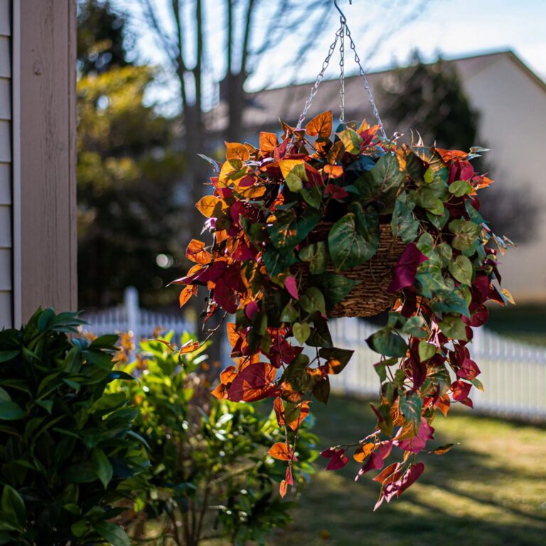 Red and Green Pothos Vine Artificial Plant in Round Grapevine Hanging Basket