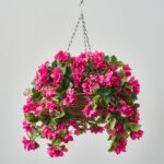 Cerise Bougainvillea In Rattan Basket Faux Floral Outdoor Spring and Summer Hanging Basket - Cerise