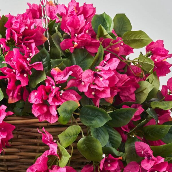 Close-up of craft detail close-up on this Cerise Bougainvillea In Rattan Basket Summer Hanging Basket