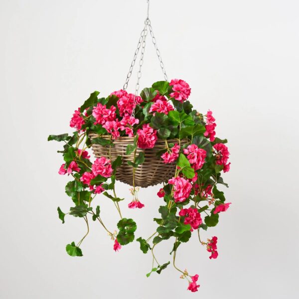Blooming Pink Geranium Bush Spring Summer Hanging Basket - Pink