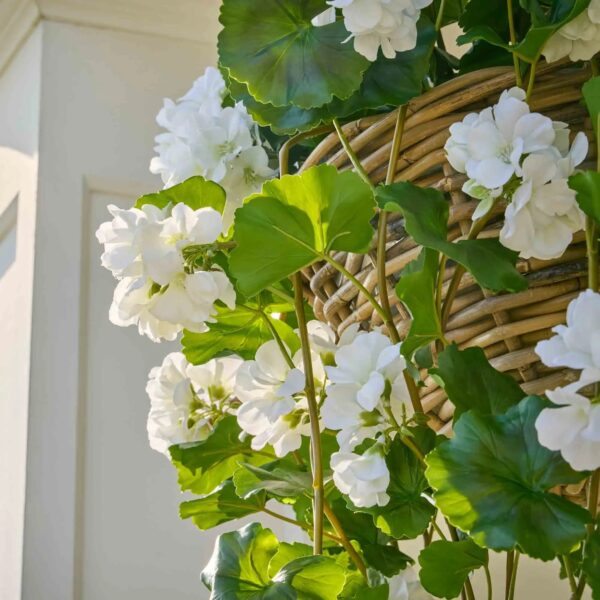 Close-up of craft detail close-up on this Blooming White Geranium Bush Everyday Summer Hanging Basket
