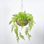 All Seasons Boston Fern Hanging Basket Everyday Faux Greenery - Green