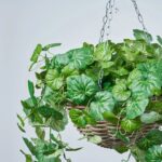 Alternate angle of the All Seasons Begonia Leaf Hanging Leaf Hanging Basket showing material texture