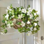 Cascading White Petunia Artificial Plant in Round Rattan Hanging Basket - Default Title