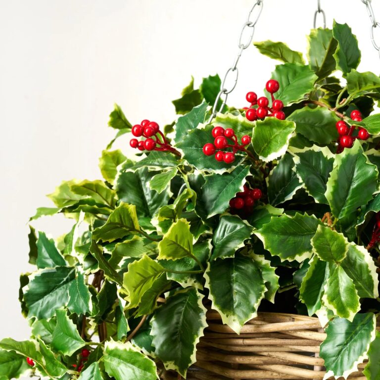 Close-up of craft detail close-up on this Variegated Green Holly Leaf Christmas Hanging Basket