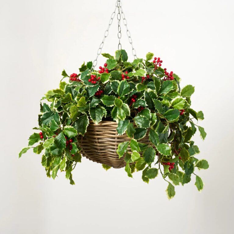 Variegated Green Holly Leaf and Red Berry Vine Christmas Hanging Basket