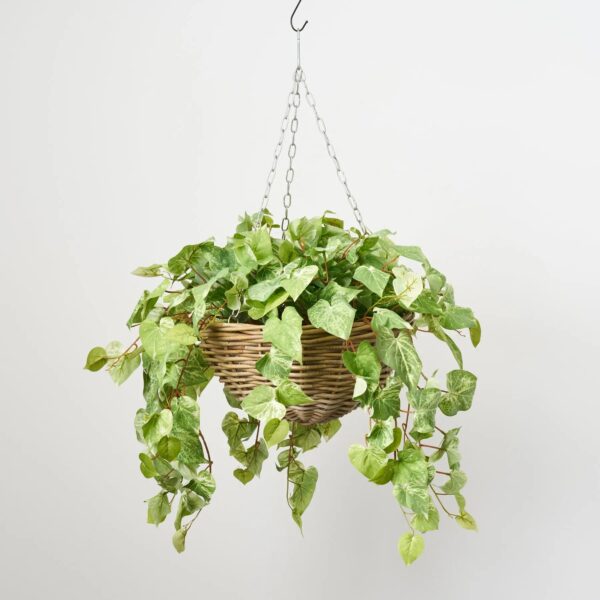 All Seasons Bright Green Pothos Leaf Hanging Basket Everyday Faux Greenery - Green