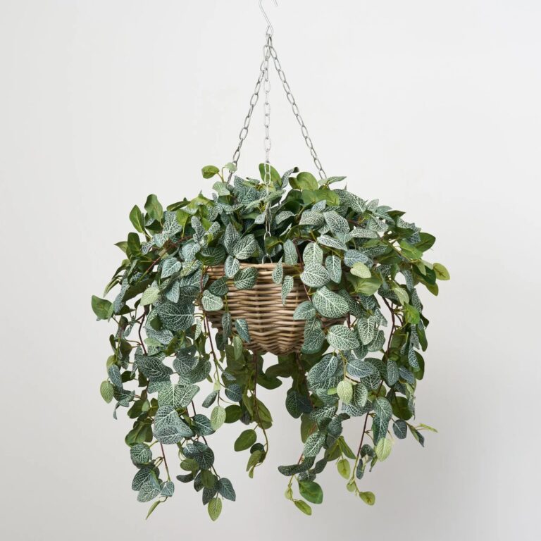 All Seasons Fittonia Leaf Hanging Basket Everyday Faux Greenery - Green