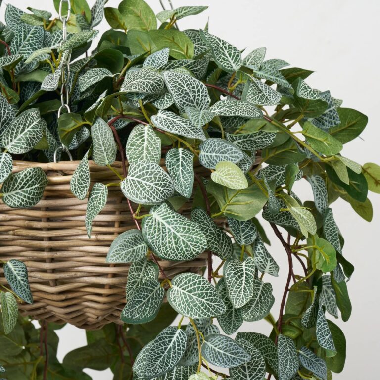 Close-up of craft detail close-up on this All Seasons Fittonia Leaf Hanging Leaf Hanging Basket