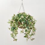 Flowering Wandering Dude in Rattan Basket Faux Floral Spring Summer Hanging Basket - Green and