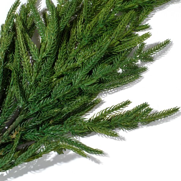 Close-up of bloom tips on this Real Touch Green Norfolk Pine Branch Christmas Spray