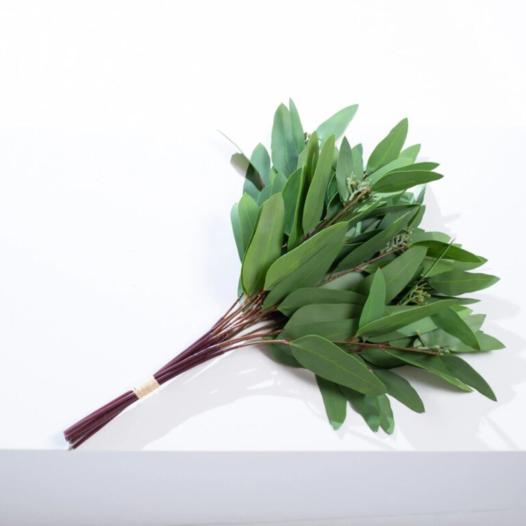 Real Touch Seeded Everyday Needle Leaf Faux Eucalyptus 12 Stem Bundle Bouquet