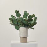 Real Touch Seeded Everyday Silver Dollar Eucalyptus 12 Stem Bundle Bouquet
