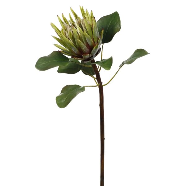 Real Touch Protea Stem - Green