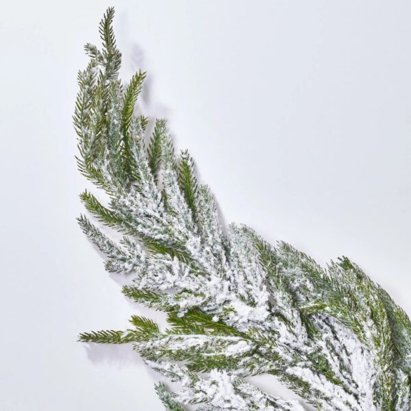 Close-up of bloom tips on this Real Touch Snow Flocked Norfolk Norfolk Pine Spray