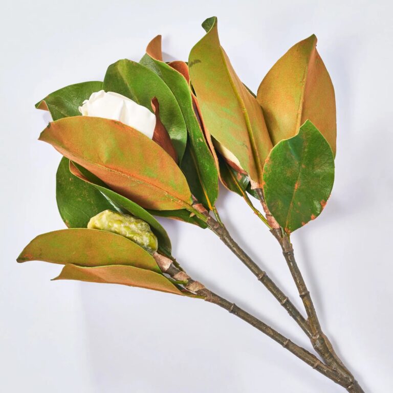 Close-up of bloom tips on this Real Touch Large Magnolia Bud Large Branch Stem