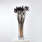 Naturally Dried and Farm Dyed Bouquet of Chocolate Bunny Tail Brown Stem Bundle - Chocolate