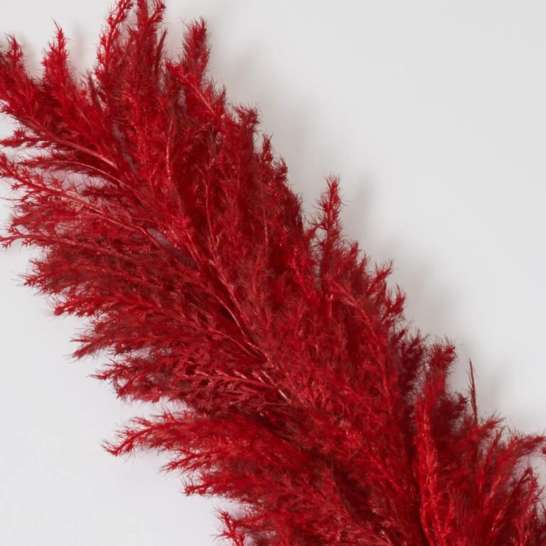 Close-up of bloom tips on this Two Tone Red Large Pampas Wired Stem Spray