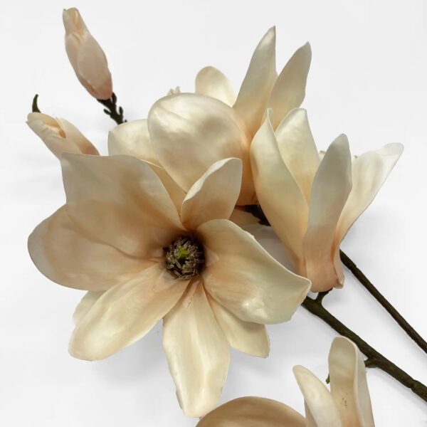 Close-up of bloom tips on this Real Touch Neutral Apricot Tree Neutral Apricot Tree