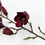 Alternate angle of the Real Touch Tree Magnolia Red Blooming Branch Stem showing leaves along