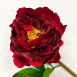 Close-up of bloom tips on this Real Touch Deep Red Burgundy Bloom Peony Stem