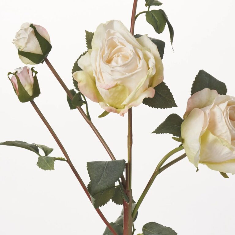 Close-up of bloom tips on this Real Touch Dried Look Cream Floral Stem Spray