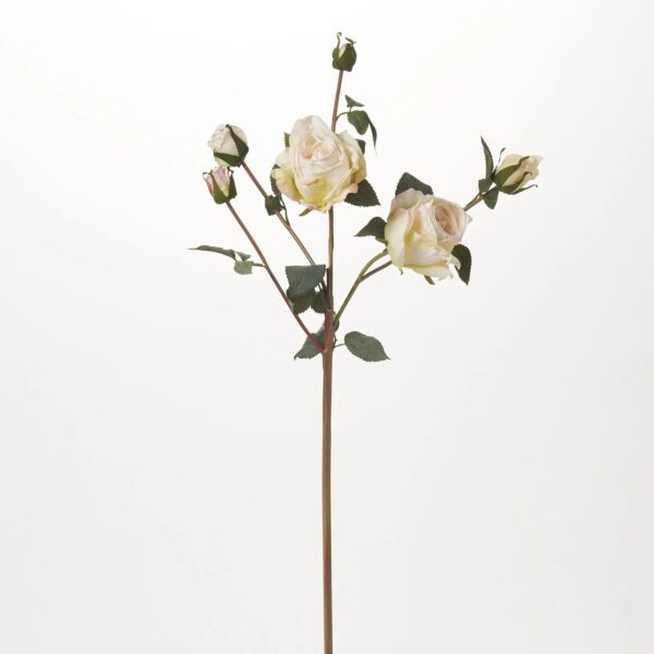 Real Touch Dried Look Cream Rose Bloom and Bud Floral Stem Spray - 26 inch