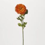Orange Silk Ranunculus Bloom and Bud Faux Floral Stem Spray - 21 inch