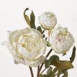 Close-up of bloom tips on this Real Touch Blooming White Peony Faux Floral Spray