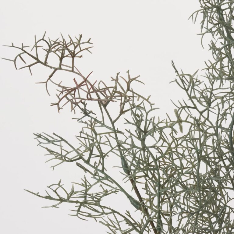 Close-up of bloom tips on this Silver Gray Coral Fern Single Faux Foliage Spray