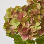 Close-up of bloom tips on this Green and Pink Watercolor Silk Blooms Bush Bouquet