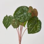 Real Touch Turtle Shell Plant Bush Spray Faux Everyday Greenery - 16 inch