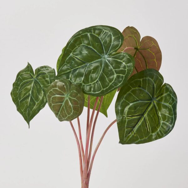 Real Touch Turtle Shell Plant Bush Spray Faux Everyday Greenery - 16 inch