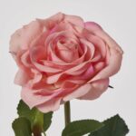 Close-up of bloom tips on this Real Touch Pink Rose Bloom Faux Floral Spray