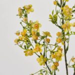Alternate angle of the Yellow Flowering Mini Blossoms Long Floral Pick Spray showing leaves along
