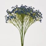 Midnight Blue Baby's Breath Gypsophila Bush Everyday Faux Stem Bouquet - 15 inch