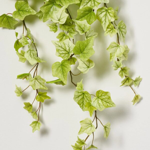 Close-up of bloom tips on this Real Touch Spring Green Ivy Greenery Bush Spray
